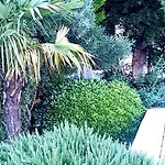 Apartman Kramar Selce