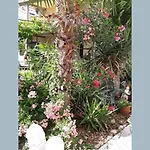 Appartement Kramar Selce